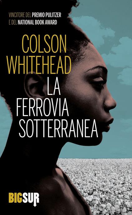 La ferrovia sotterranea - Colson Whitehead - copertina