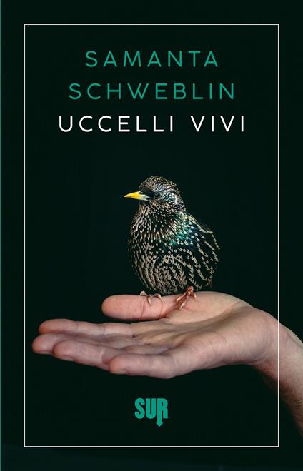 Uccelli vivi - Samanta Schweblin - copertina