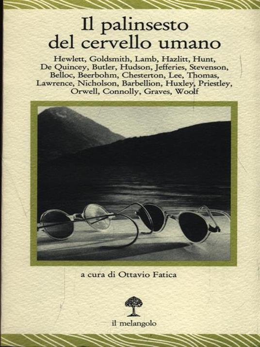 Il palinsesto del cervello umano - copertina