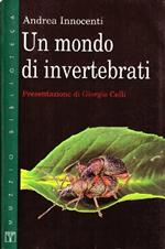 Un mondo di invertebrati