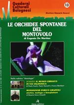 Le orchidee spontanee del Montovolo