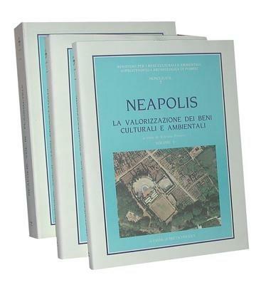 Neapolis. Progetto sistema per la valorizzazione delle risorse ambientali e artistiche dell'area vesuviana - copertina