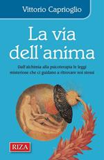 La via dell'anima. Dall'alchimia alla psicoterapia le sue leggi misteriose ci guidano a ritrovare noi stessi