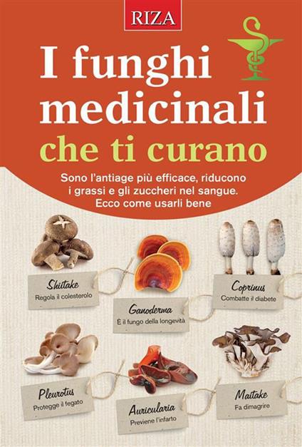 I funghi medicinali che ti curano - Vittorio Caprioglio - ebook