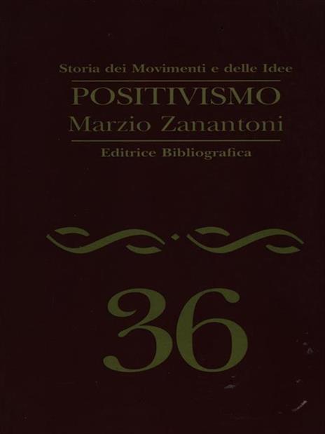 Positivismo - Marzio Zanantoni - 3