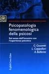 Psicopatologia fenomenologica della psicosi. Sul senso dell'incontro con l'esperienza psicotica