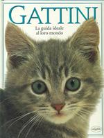 Gattini. La guida ideale al loro mondo. Ediz. illustrata