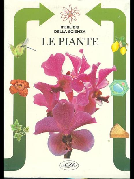 Le piante. Ediz. illustrata - M. Antonietta Del Moro - 3