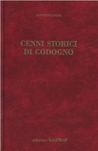 Cenni storici di Codogno - Davide Palazzina - copertina