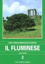 Il fluminese