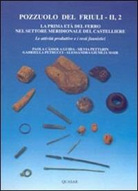 Pozzuolo del Friuli. Vol. 2\2: La prima età del ferro nel settore meridionale del castelliere. Le attività produttive e i resti faunistici. - copertina