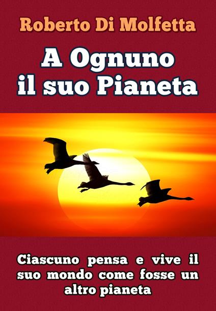 A ognuno il suo pianeta - Roberto Di Molfetta - copertina