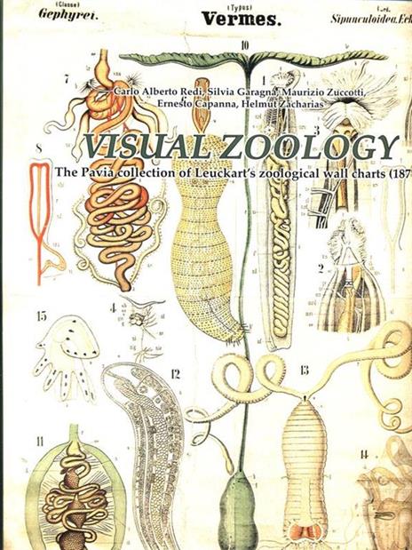 Visual zoology. The Pavia collection of Leuckart's zoological wall charts (1877). Con CD-ROM - C. Alberto Redi,Ernesto Capanna,Silvia Garagna - 3