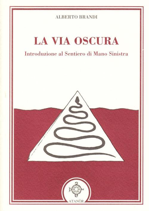 La via oscura - Alberto Brandi - copertina