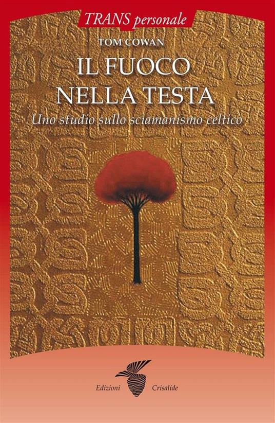 Il fuoco nella testa - Tom Cowan,C. Fiorentini - ebook