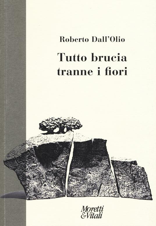 Tutto brucia tranne i fiori - Roberto Dall'Olio - copertina