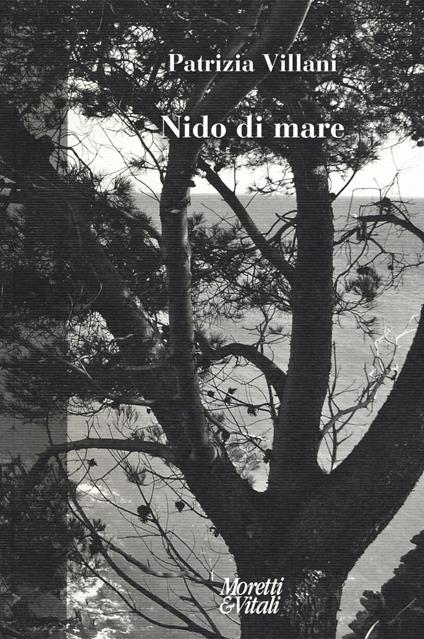 Nido di mare - Patrizia Villani - copertina