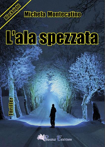 L'ala spezzata - Michela Montecatino - copertina