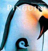 Pinguini - Sheila Buff - copertina