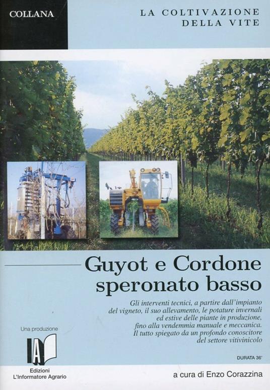 La coltivazione della vite. Guyot e Cordone Speronato basso. DVD - Enzo Corazzina - copertina