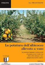 Il frutteto. La potatura dell'albicocco allevato a vaso. Piccola guida pratica. Con DVD - Giovanni Rigo - copertina