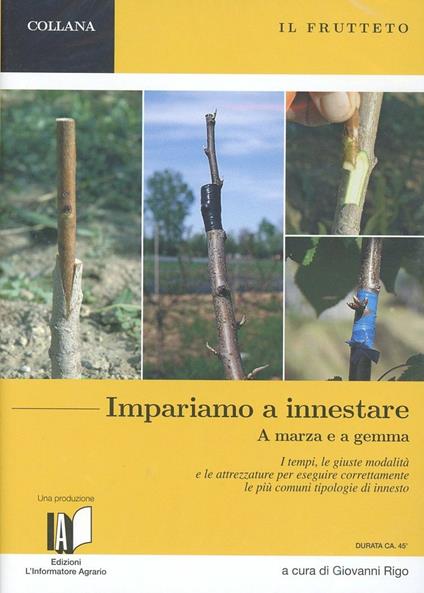 Il frutteto. Impariamo a innestare a marza e a gemma. Con DVD - Giovanni Rigo - copertina