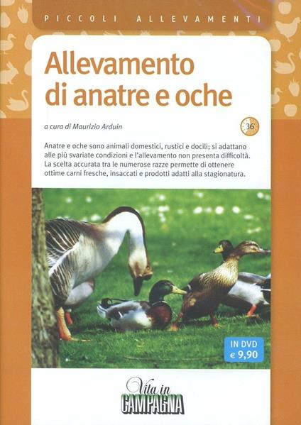 Allevamento di anatre e oche. DVD - Maurizio Arduin - copertina