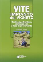 Vite: impianto del vigneto. Scelte da affrontare, realizzazione e fase di allevamento