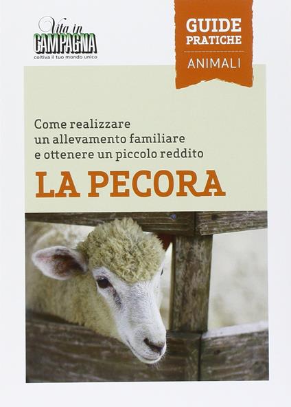 La pecora. Come realizzare un allevamento familiare e ottenere un piccolo reddito - Marcello Volanti - copertina