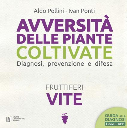 Avversità delle piante coltivate. Diagnosi, prevenzione e difesa. Vite. Con Contenuto digitale per download - Aldo Pollini,Ivan Ponti - copertina