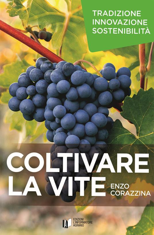 Coltivare la vite. Tradizione, innovazione, sostenibilità. Con DVD video - Enzo Corazzina - copertina