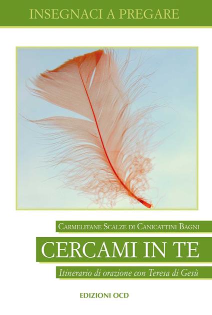 Cercami in te. Itinerario di orazione con Teresa di Gesù - copertina