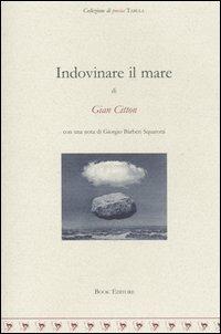 Indovinare il mare - Gian Citton - copertina