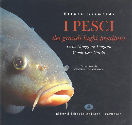 I pesci dei laghi prealpini: Lago Maggiore, Orta, Lugano, Como, Iseo, Garda - Ettore Grimaldi,Gianfranco Giudice - copertina