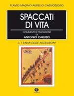 Spaccati di vita. Vol. 3: I salmi delle ascensioni.