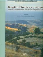 Broglio di Trebisacce 1990-1994. Elementi e problemi nuovi dalle recenti campagne di scavi