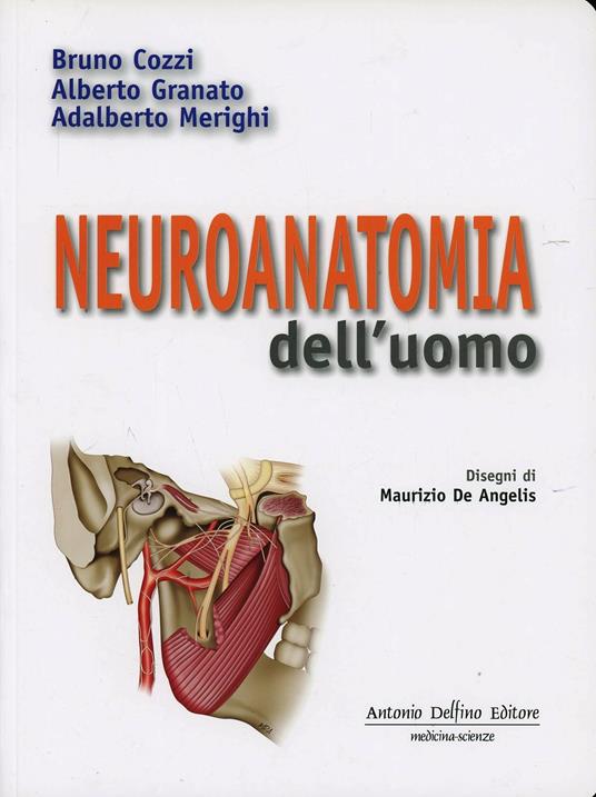 Neuroanatomia dell'uomo - Bruno Cozzi - Alberto Granato - - Libro - Antonio  Delfino Editore 