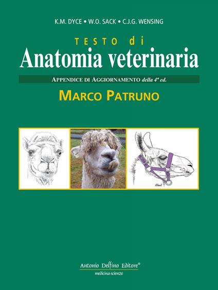 Testo di anatomia veterinaria. Appendice di aggiornamento - K. M. Dyce,Wolfang O. Sack,C. J. Wensing - copertina