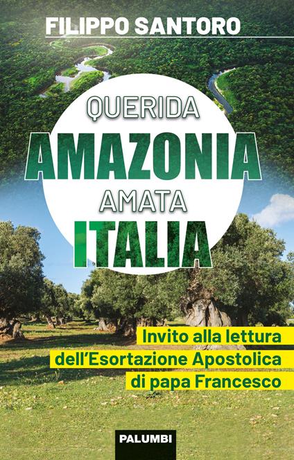 Querida Amazonia amata Italia. Invito alla lettura dell'Esortazione Apostolica di papa Francesco - Filippo Santoro - copertina