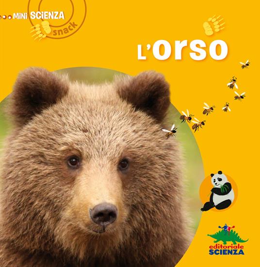 L' orso - Delphine Grinberg - copertina