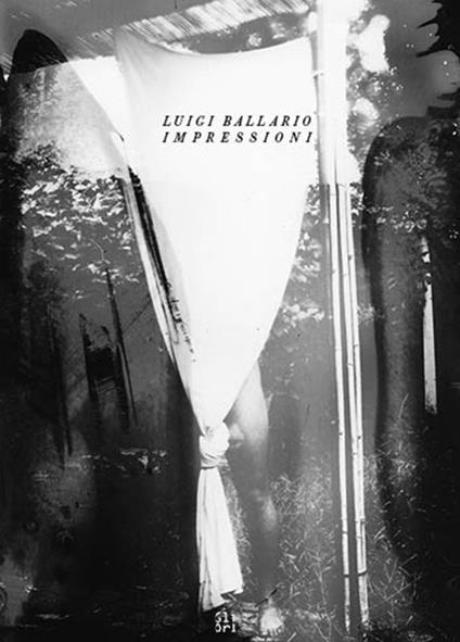 Luigi Ballario. Impressioni - Federica Boragina,Riccardo Crespi - copertina