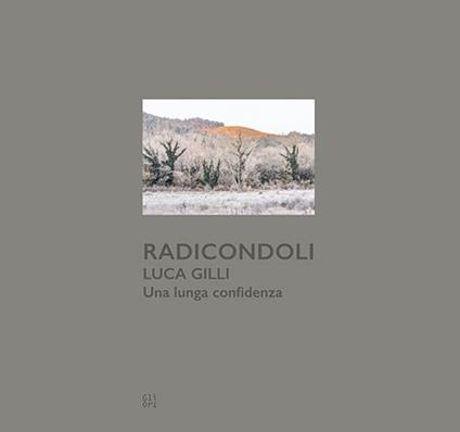 Radicondoli. Luca Gilli. Una lunga confidenza. Ediz. bilingue - copertina