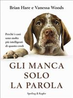 Gli manca solo la parola. Perché i cani sono molto più intelligenti di quanto credi