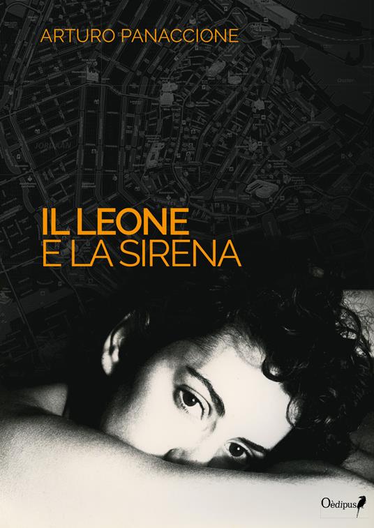 Il leone e la sirena - Arturo Panaccione - copertina