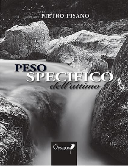 Peso specifico dell'attimo - Pietro Pisano - copertina