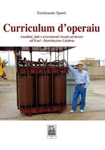 Curriculum d'operaiu. Aneddoti, fatti e avvenimenti vissuti sul lavoro all'Enel-Distribuzione Calabria