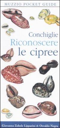 Conchiglie. Riconoscere le cipree - Giovanna Zobele Lipparini,Osvaldo Negra - copertina