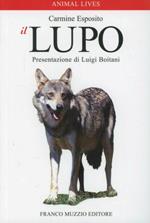 Il lupo