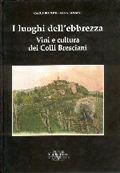 I luoghi dell'ebrezza. Vini e cultura dei colli bresciani