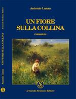 Un fiore sulla collina